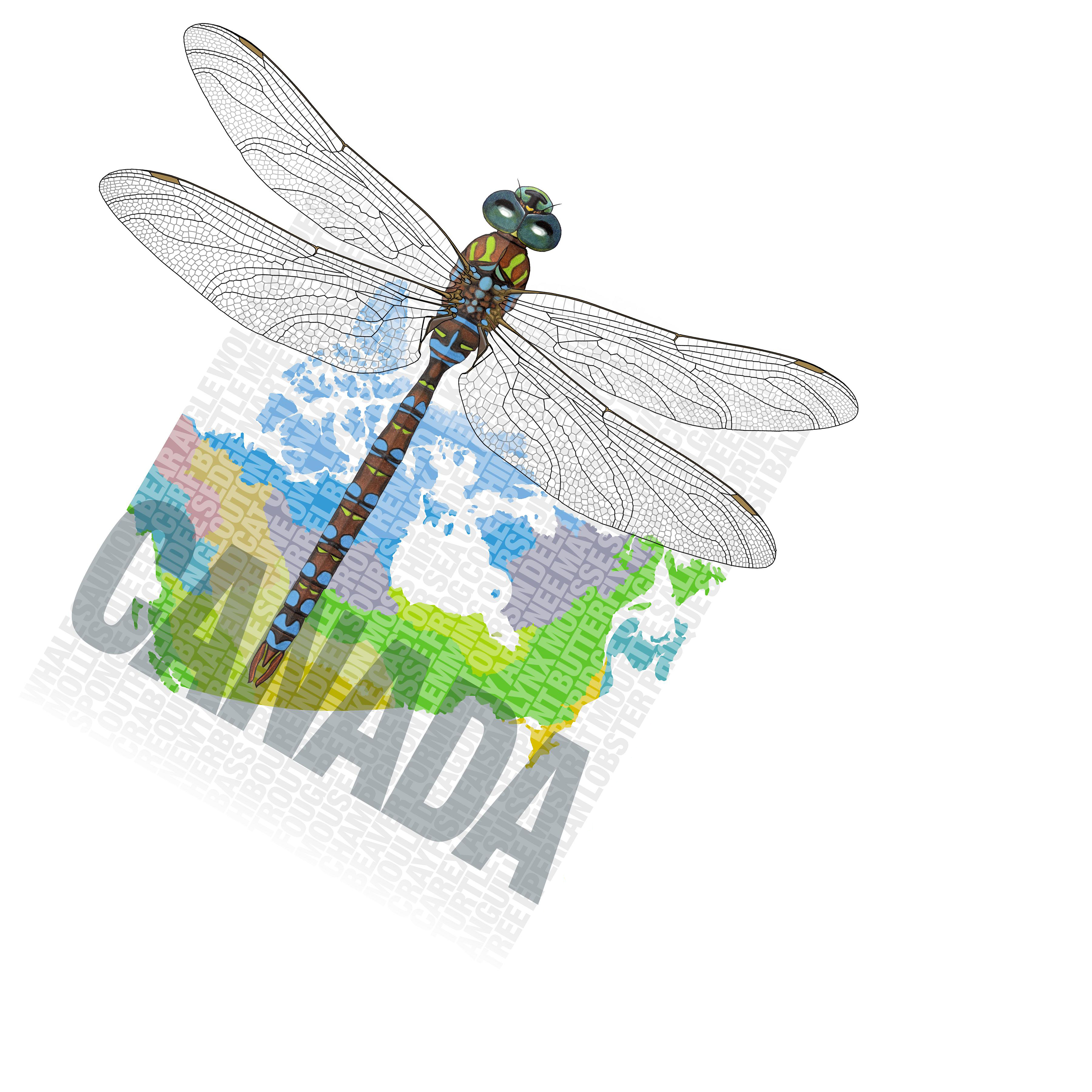 wildspecies.ca logo